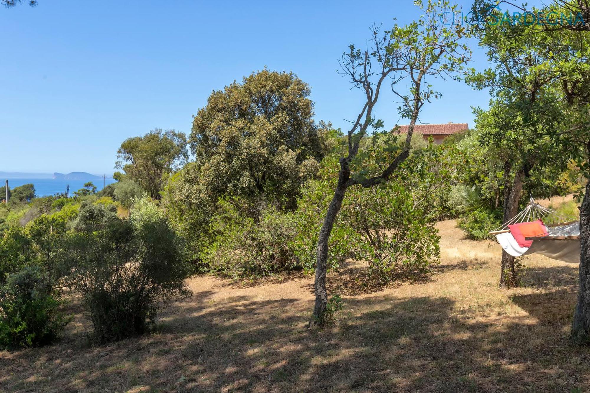 Alghero Villa Barranch With Sea View Swimming Pool For 6 People Exterior foto