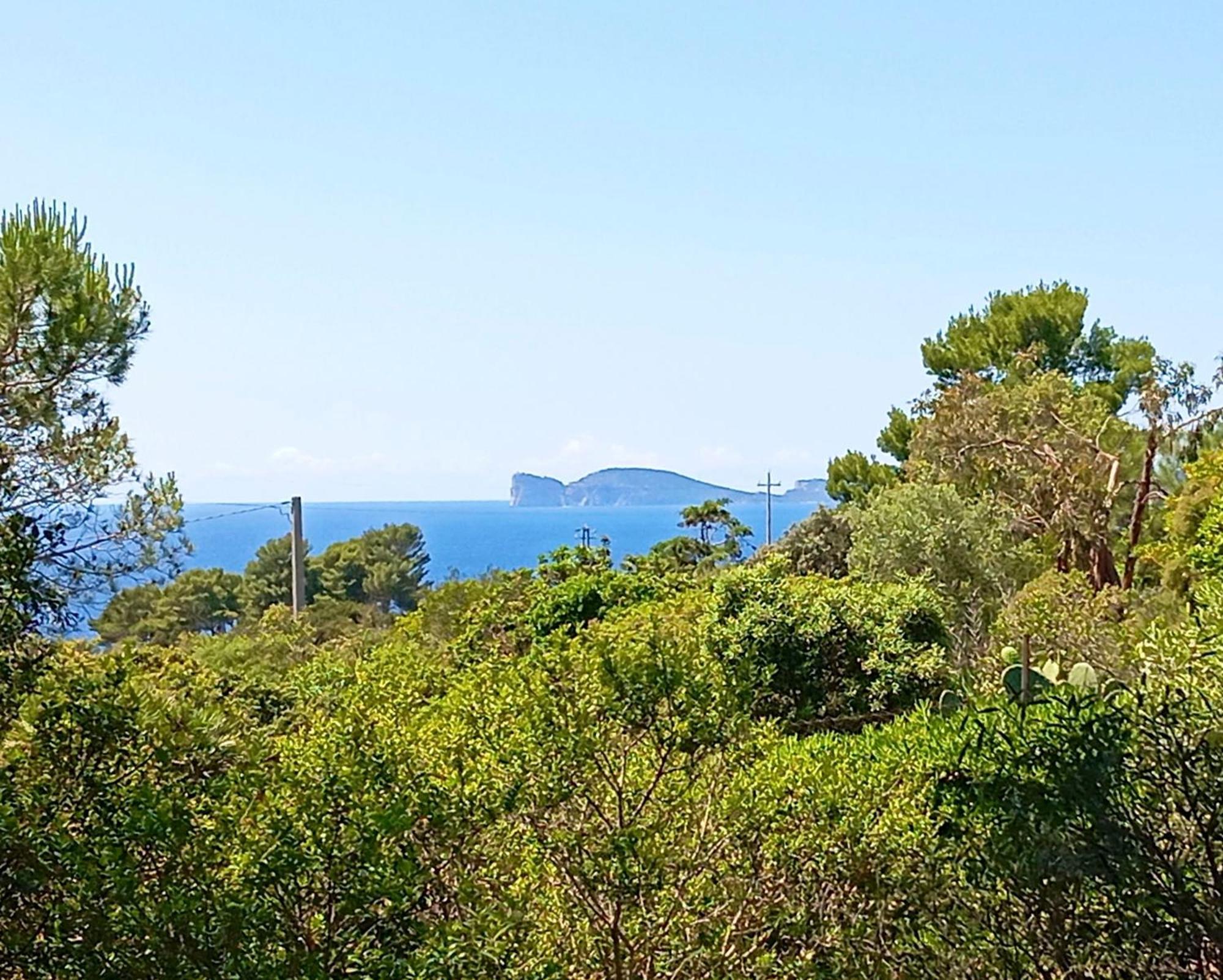 Alghero Villa Barranch With Sea View Swimming Pool For 6 People Exterior foto